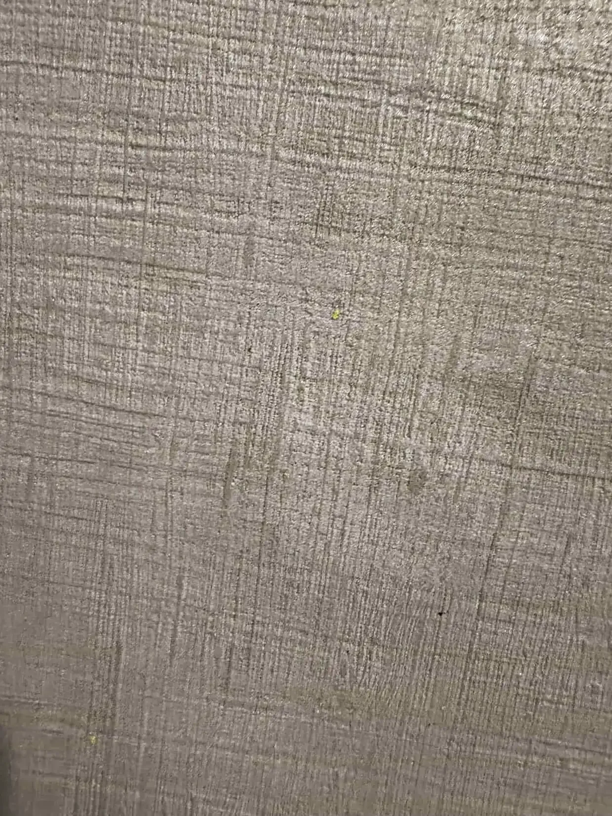 Патера · Pattera Micro